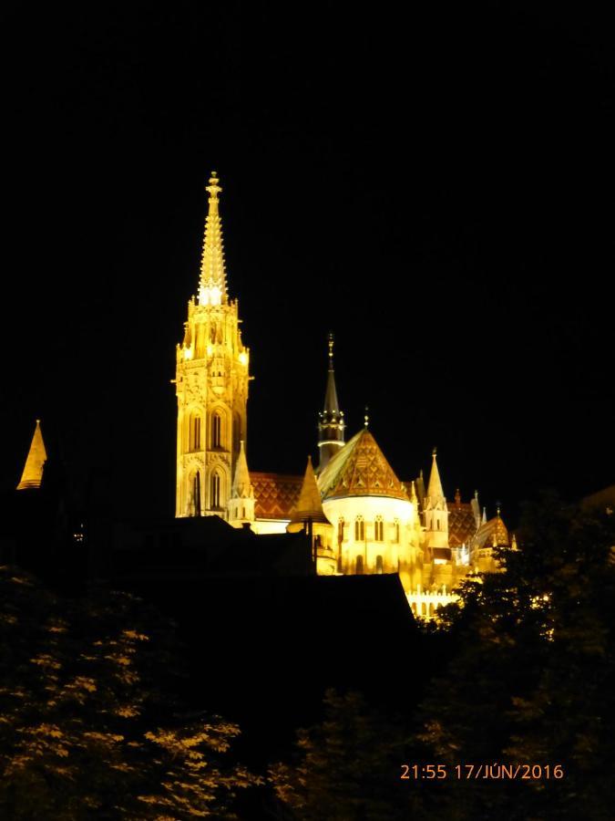 Elegant Apartment With Buda Castle View ブダペスト エクステリア 写真