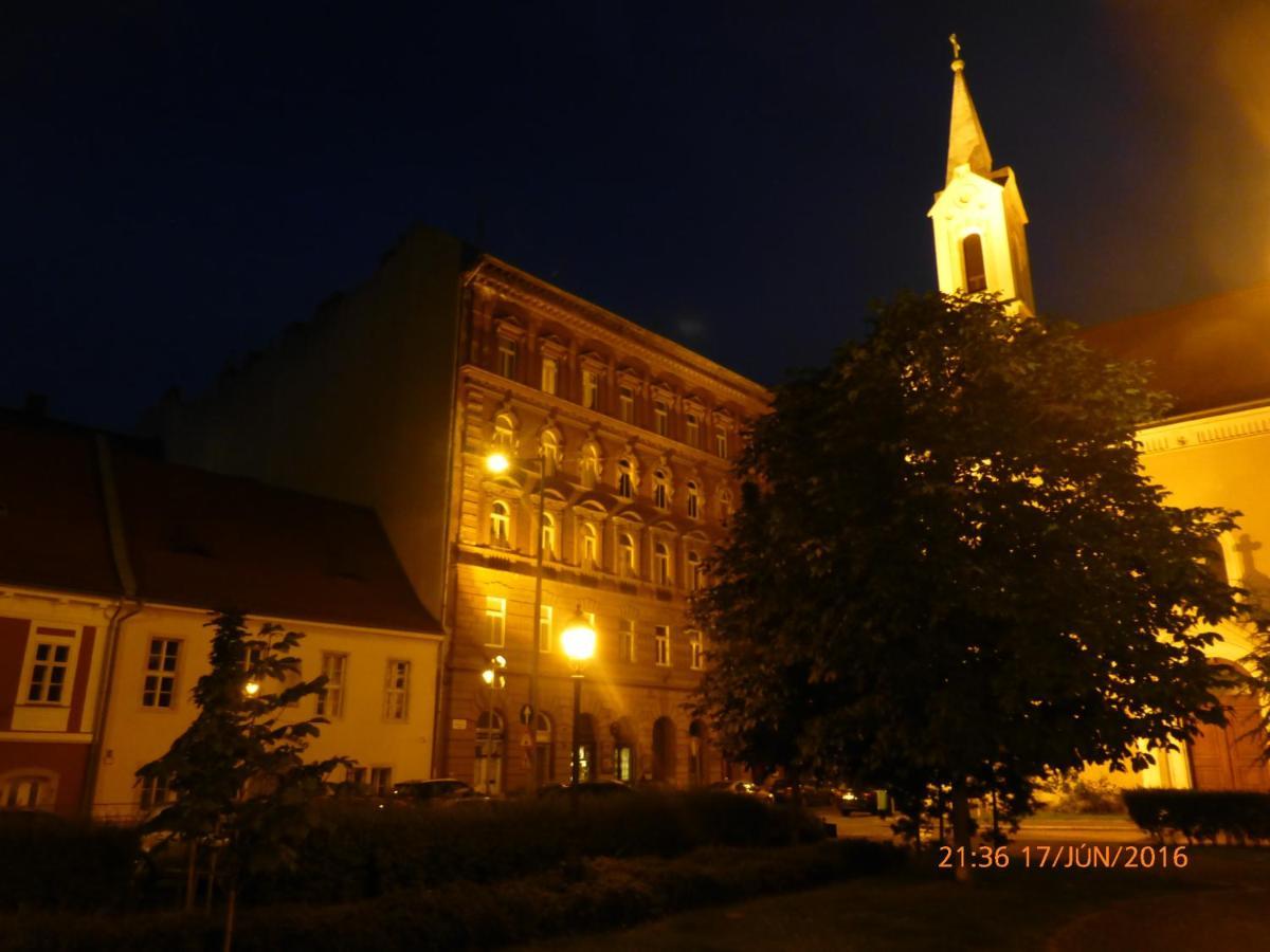Elegant Apartment With Buda Castle View ブダペスト エクステリア 写真